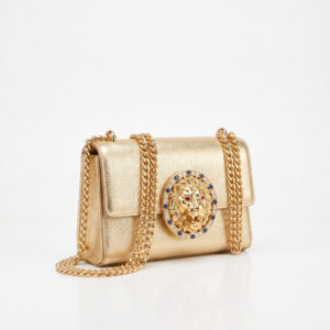golden bag with chain (1)